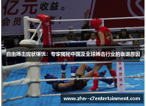 自由搏击现状堪忧:专家揭秘中国及全球搏击行业的衰退原因 自由搏击现状堪忧:专家揭秘中国及全球搏击行业的衰退原因
