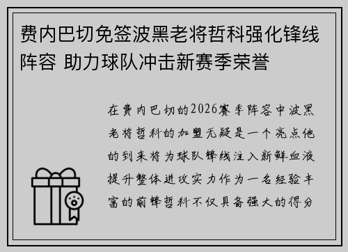 费内巴切免签波黑老将哲科强化锋线阵容 助力球队冲击新赛季荣誉